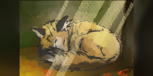 Cover image for Fox Game (2022)