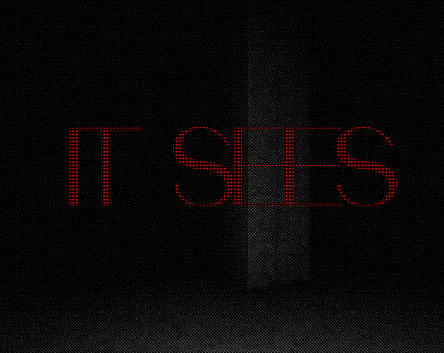 IT SEES