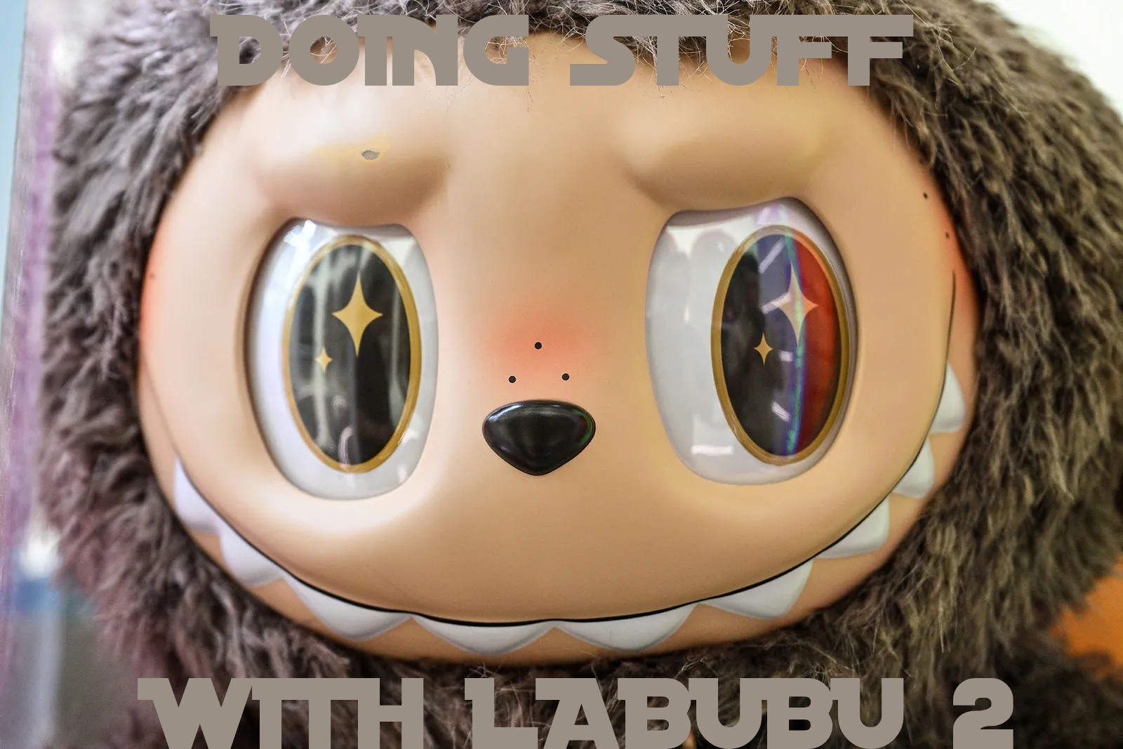 Doing Stuff WIth Labubu 2 by Lily