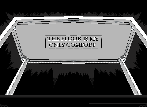 Cover image for The Floor is My Only Comfort