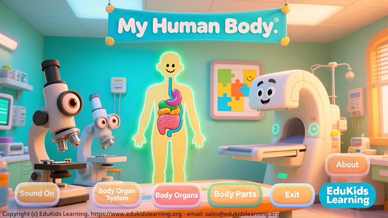 My Human Body