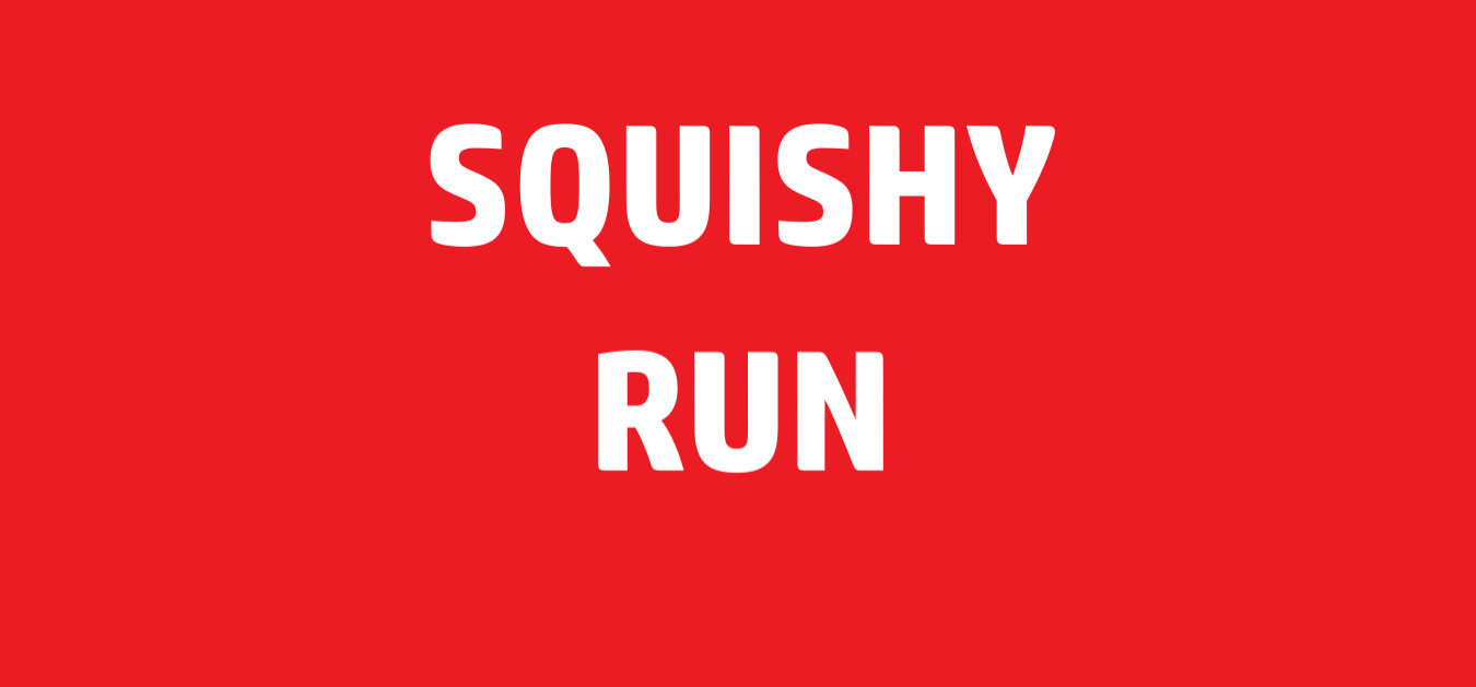 Cover image for Squishy Run