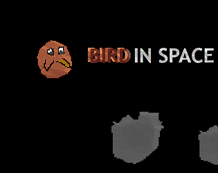 Bird In Space