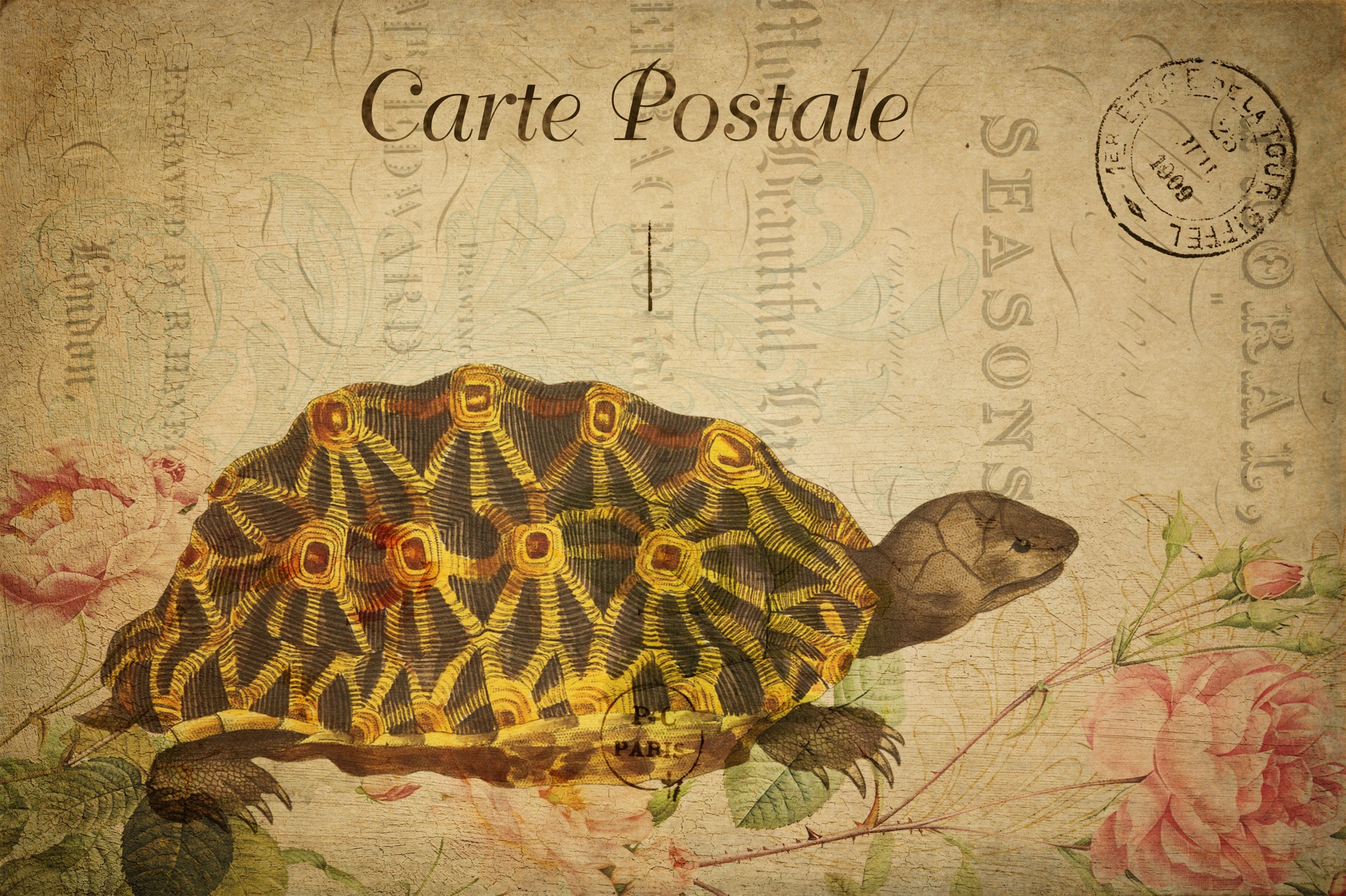 Cover image for Vergebung
