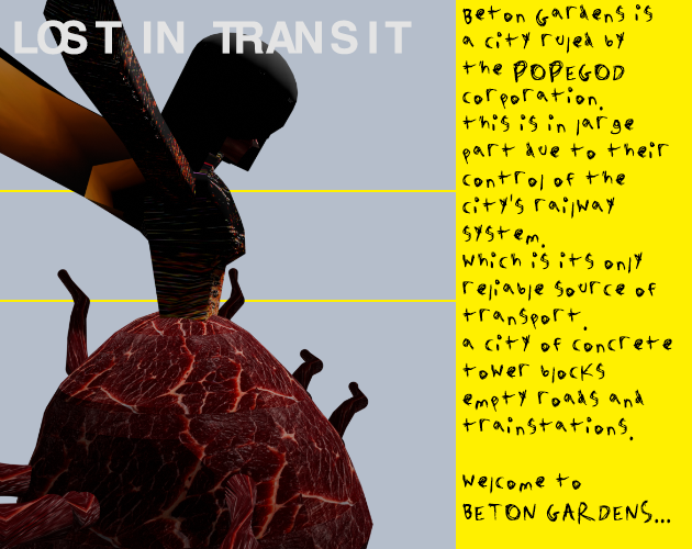 Cover image for LOST IN TRANSIT