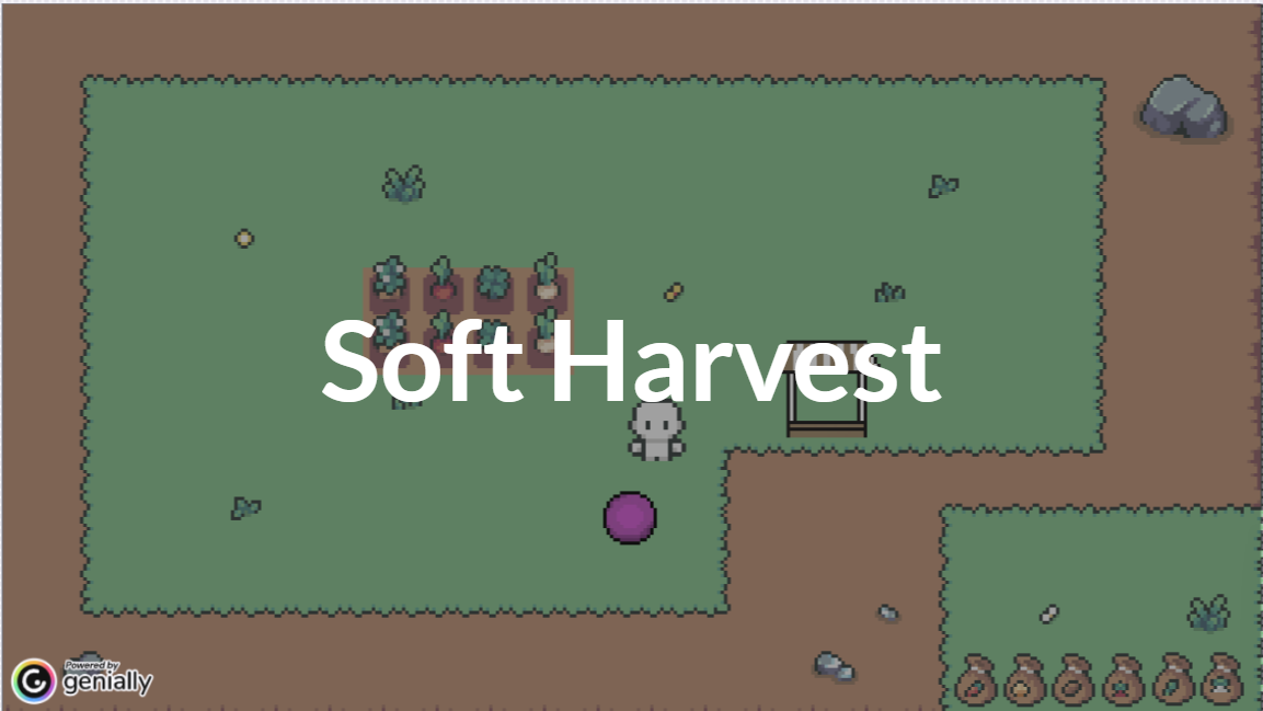 Cover image for Soft Harvest