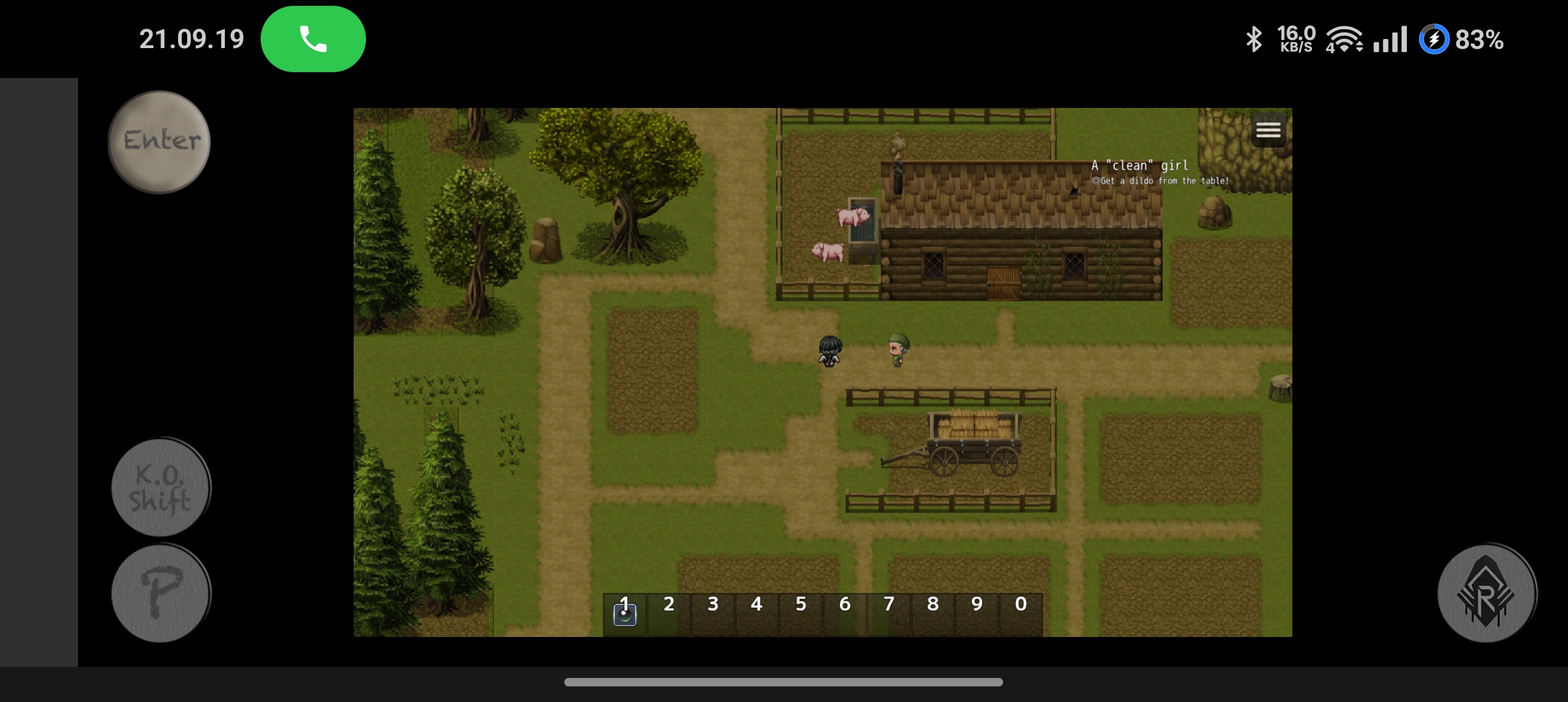 I didn't find the sheep