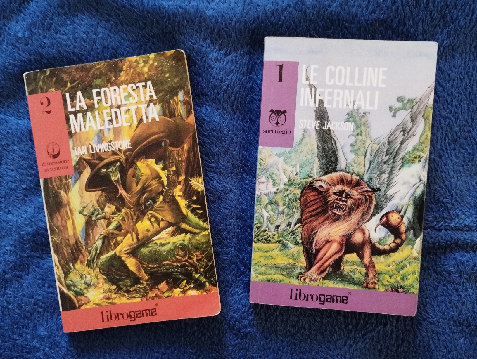 Fighting Fantasy Books