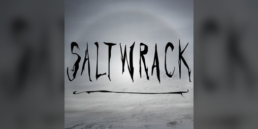 Cover image for Saltwrack