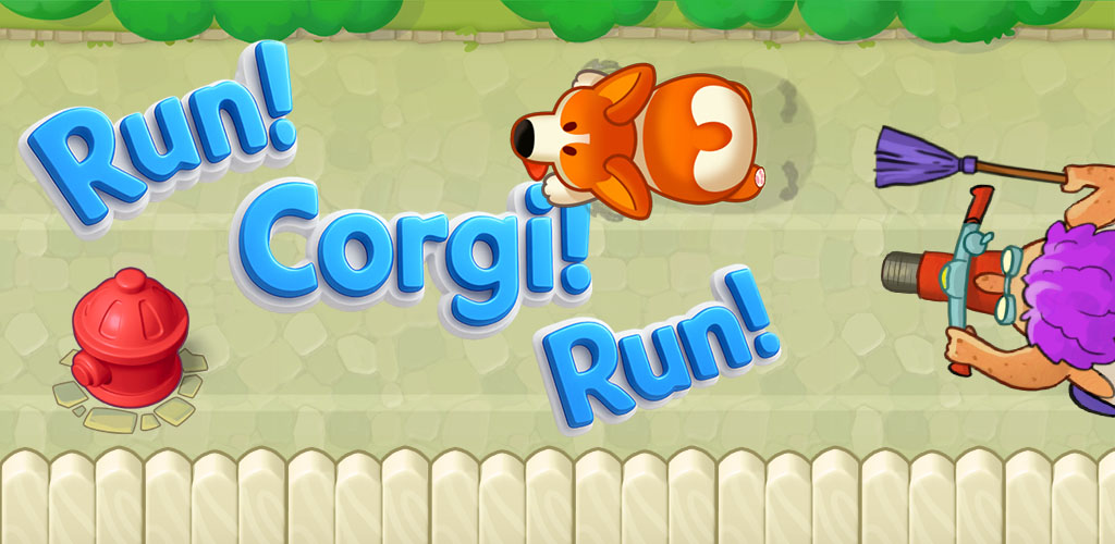 Run! Corgi! Run!