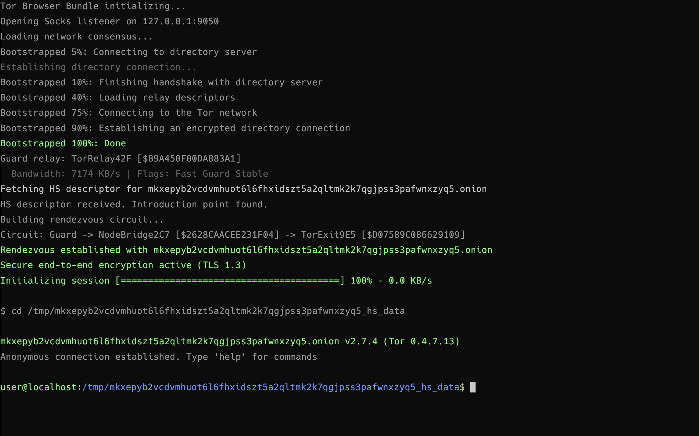 Deep Web Terminal by Atunero