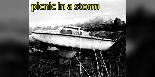 Cover image for Picnic in a Storm