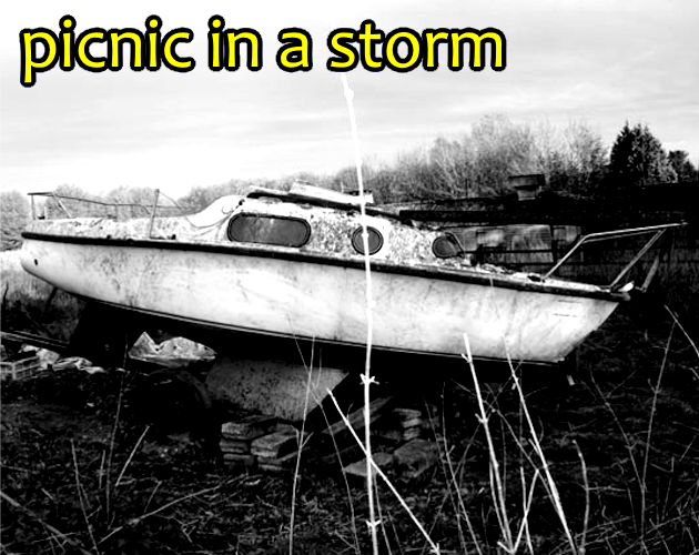 Cover image for Picnic in a Storm