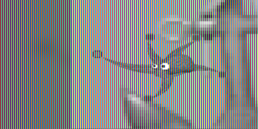 Cover image for OctopusSimulator