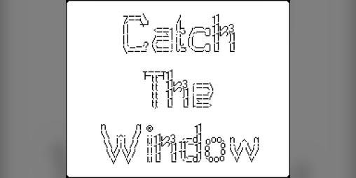 Cover image for Catch The Window