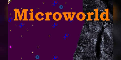 Cover image for Microworld