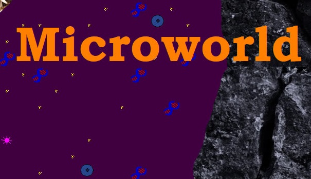 Cover image for Microworld