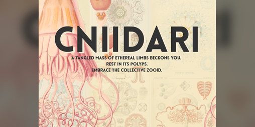 Cover image for CNIIDARI - A Slugblaster Dimension