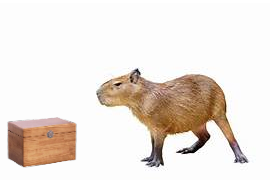 Repositorio Da Capybara