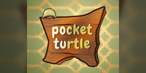 Cover image for Pocket Turtle
