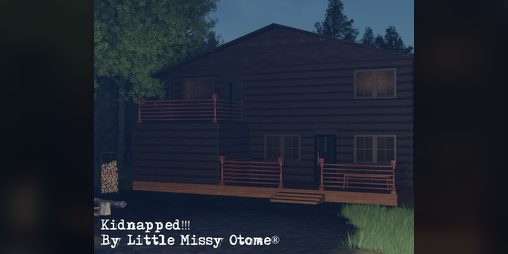 Cover image for Kidnapped!!!