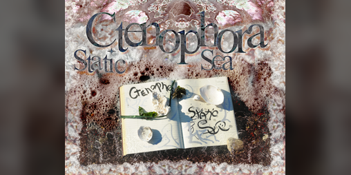 Cover image for Ctenophora Static Sea