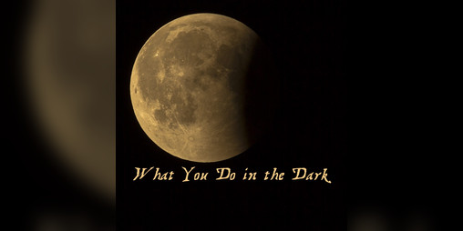 Cover image for What You Do in the Dark