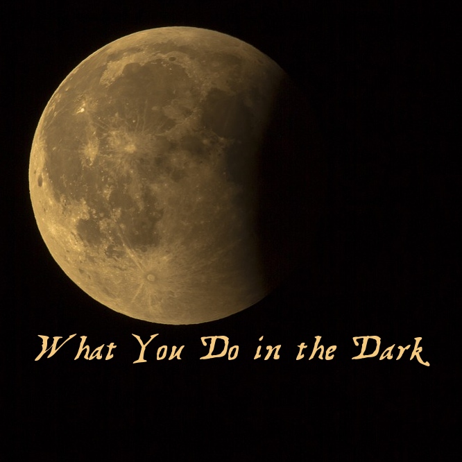 Cover image for What You Do in the Dark