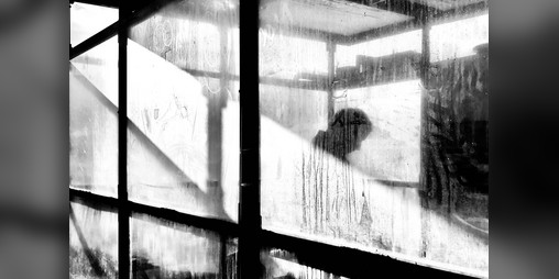 Cover image for The Ghost Inside