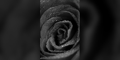 Cover image for 5-min-masquerade
