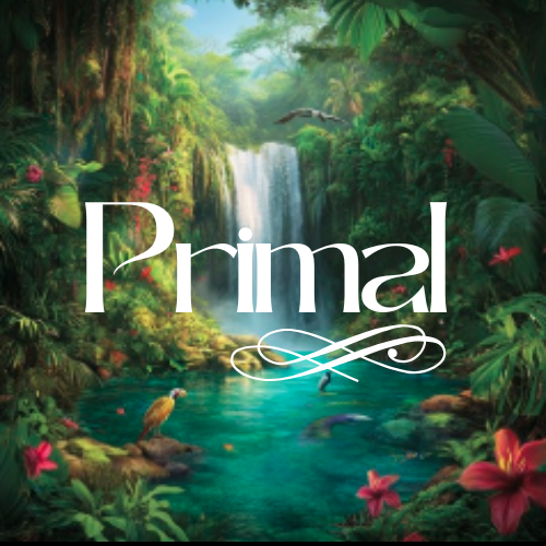 Cover image for Primal