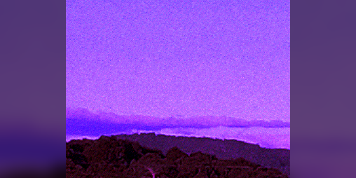 Cover image for Convalescent Days