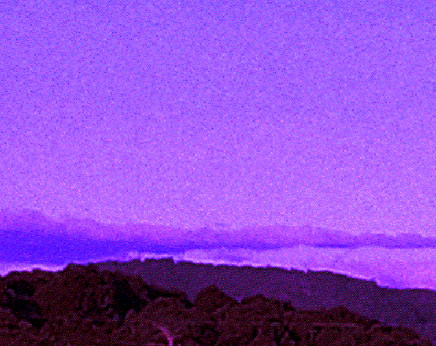 Cover image for Convalescent Days