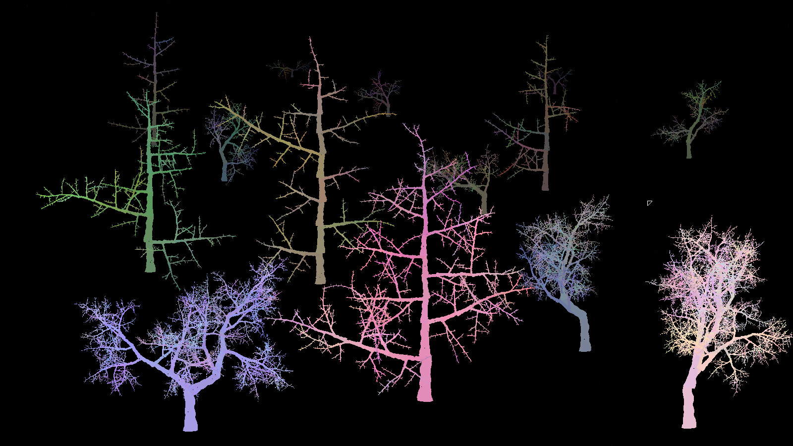 Arboretum