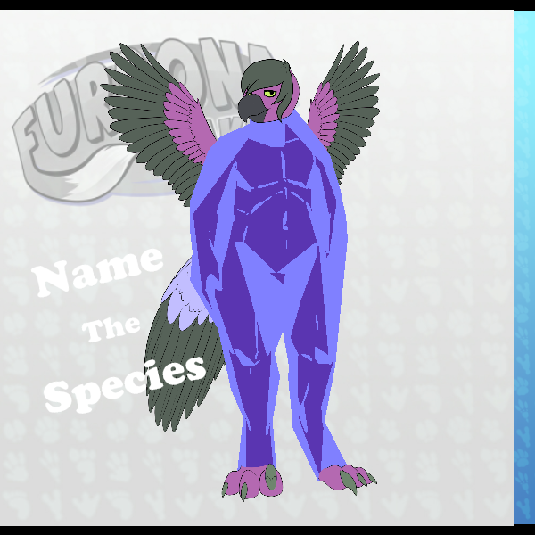 textures not showing