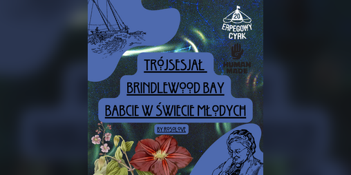 Cover image for Brindlewood Bay - Babcie w świecie młodych