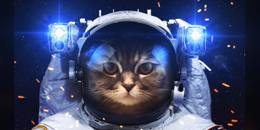 Cover image for CAT SPACE WAR