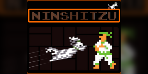 Cover image for Ninshitzu