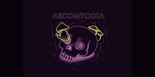 Cover image for ASCOMYCOTA