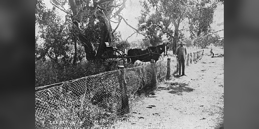 Cover image for We Will Build A Wall