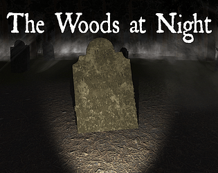 The Woods at Night