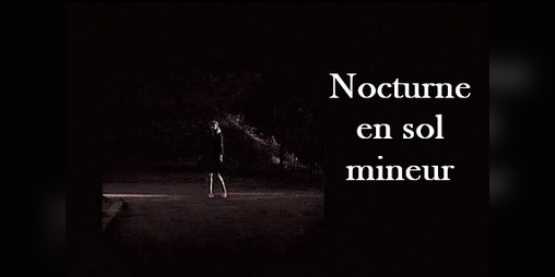 Cover image for Nocturne en sol mineur