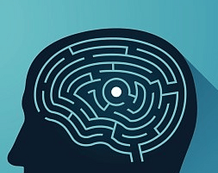 a-MAZE-ing! Inclusion Game!