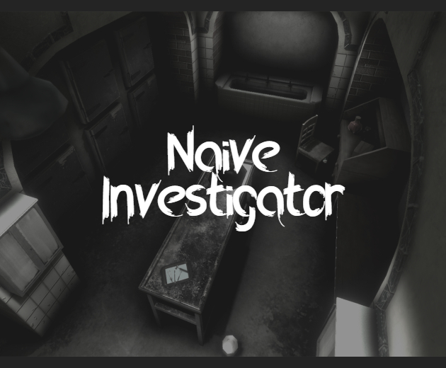 Naive Investigator cover