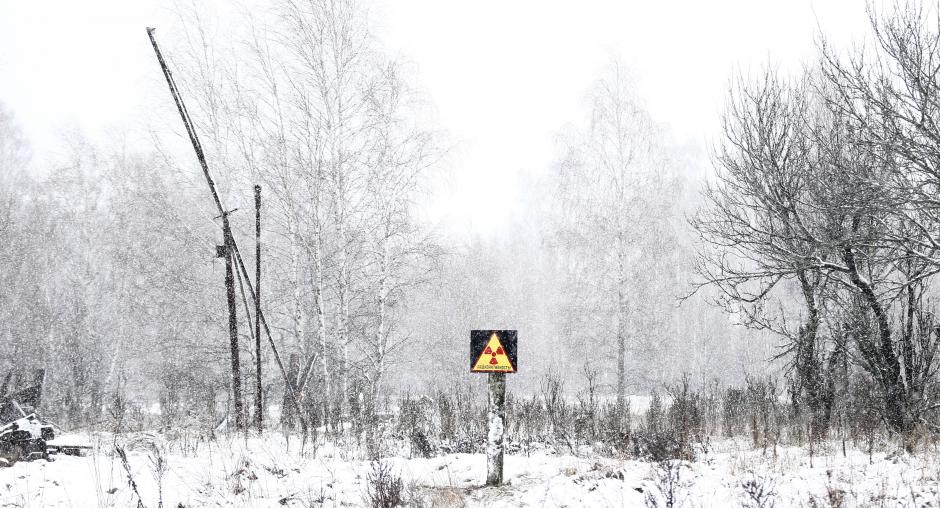 Snowscape