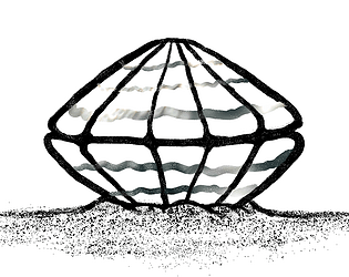 The Fetch in a Silver Cockleshell