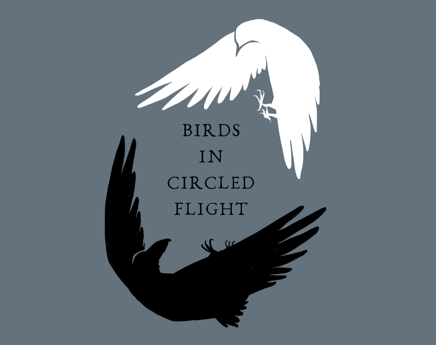 Cover image for Birds in Circled Flight
