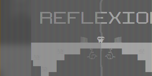 Cover image for REFLEXION