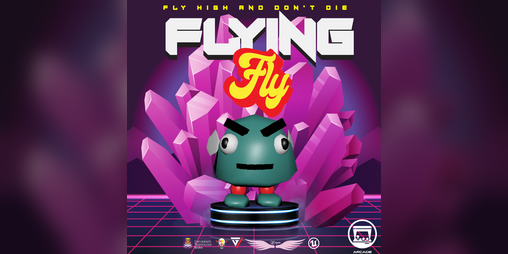 Cover image for FLYING FLY