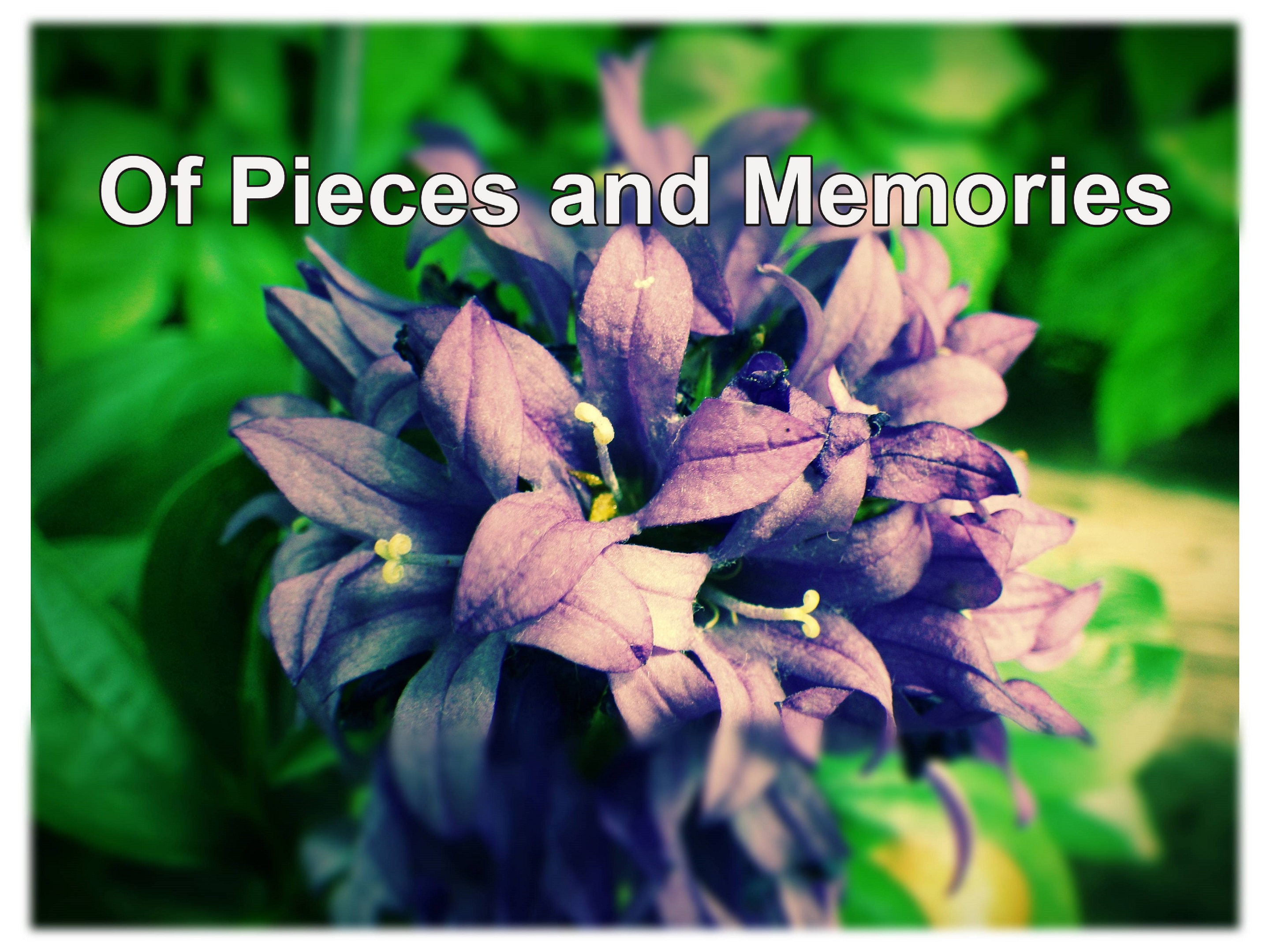 Cover image for Of Pieces and Memories